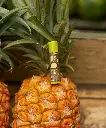 SB_Hawaii_Product-Lifestyle_Lip_SPF_Pineapple_01.webp