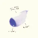 Tone Enhancer.webp