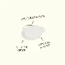 Signature Sunscreen Clear.webp